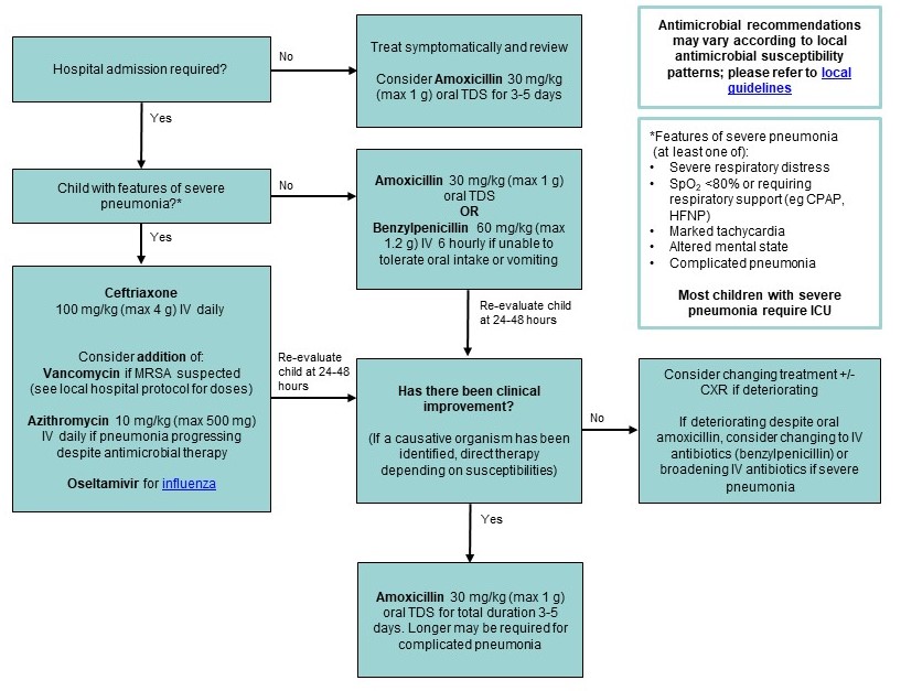 Community Acquired Pneumonia flowchart_update Aug2025_2 Community Acquired Pneumonia flowchart_update Aug2025_2